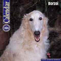 https://images.dog.ceo/breeds/borzoi/n02090622_6971.jpg