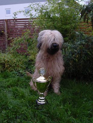 https://images.dog.ceo/breeds/briard/n02105251_7805.jpg