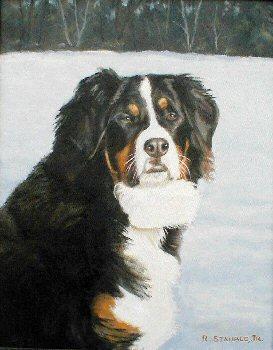 https://images.dog.ceo/breeds/mountain-bernese/n02107683_4884.jpg