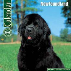 https://images.dog.ceo/breeds/newfoundland/n02111277_2411.jpg