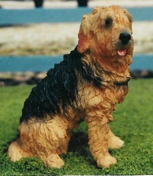 https://images.dog.ceo/breeds/otterhound/n02091635_758.jpg