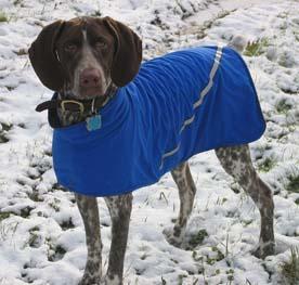 https://images.dog.ceo/breeds/pointer-german/n02100236_1941.jpg