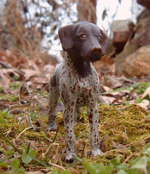 https://images.dog.ceo/breeds/pointer-german/n02100236_3134.jpg