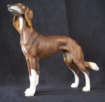 https://images.dog.ceo/breeds/saluki/n02091831_304.jpg