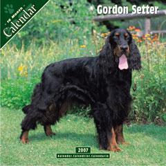 https://images.dog.ceo/breeds/setter-gordon/n02101006_1918.jpg