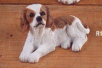 https://images.dog.ceo/breeds/spaniel-blenheim/n02086646_1674.jpg